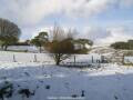 Webcam Dartmoor