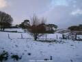 Webcam Dartmoor