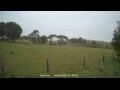 Webcam Dartmoor