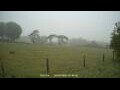 Webcam Dartmoor