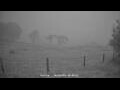 Webcam Dartmoor