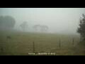 Webcam Dartmoor