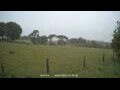 Webcam Dartmoor