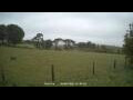 Webcam Dartmoor
