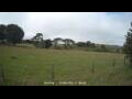Webcam Dartmoor