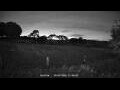 Webcam Dartmoor