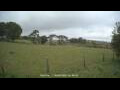 Webcam Dartmoor