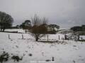 Webcam Dartmoor