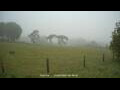 Webcam Dartmoor