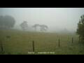 Webcam Dartmoor