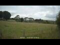 Webcam Dartmoor
