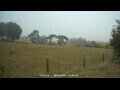 Webcam Dartmoor