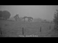 Webcam Dartmoor