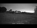 Webcam Dartmoor