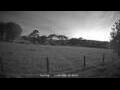 Webcam Dartmoor