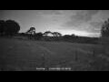 Webcam Dartmoor