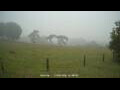 Webcam Dartmoor
