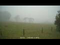Webcam Dartmoor