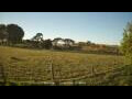 Webcam Dartmoor