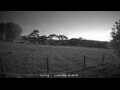 Webcam Dartmoor