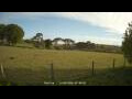 Webcam Dartmoor