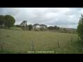 Webcam Dartmoor