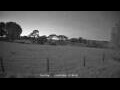 Webcam Dartmoor