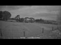 Webcam Dartmoor