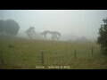 Webcam Dartmoor