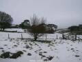 Webcam Dartmoor