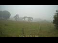 Webcam Dartmoor