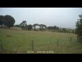 Webcam Dartmoor