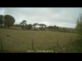 Webcam Dartmoor
