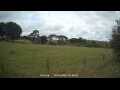 Webcam Dartmoor