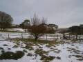 Webcam Dartmoor