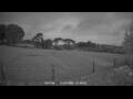 Webcam Dartmoor