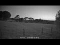 Webcam Dartmoor