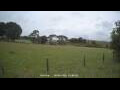 Webcam Dartmoor
