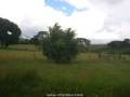 Webcam Dartmoor
