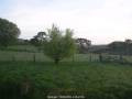 Webcam Dartmoor