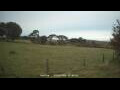 Webcam Dartmoor