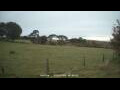 Webcam Dartmoor