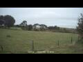 Webcam Dartmoor