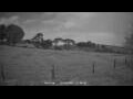 Webcam Dartmoor