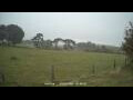 Webcam Dartmoor