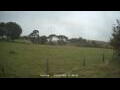 Webcam Dartmoor
