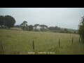 Webcam Dartmoor