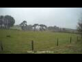 Webcam Dartmoor