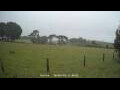 Webcam Dartmoor