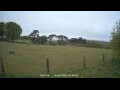 Webcam Dartmoor